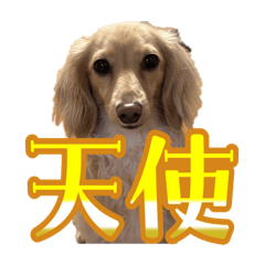 Yurina_20260311224133