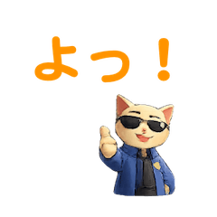 Sunglasses Keiji Daily Life