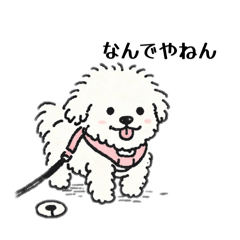 MIYAZAKI_20260312012614