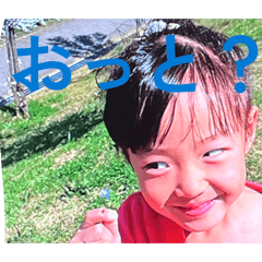 Nicotine_202603120139673