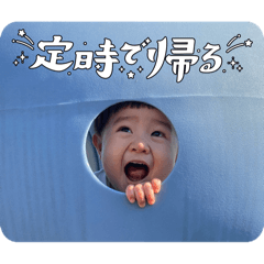 SHIMANEKO_20260312012622