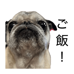 tokoroten_20260312020122