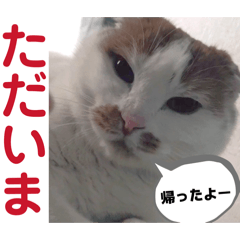 asuka_20260312022007