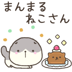 まんまる ねこさん⭐︎スコティッシュ１