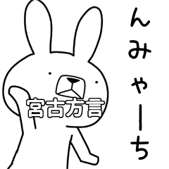 Dialect rabbit [miyako]