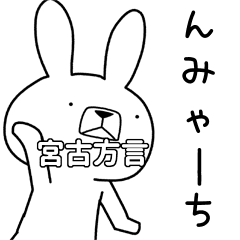 方言うさぎ 宮古方言編 Line スタンプ Line Store