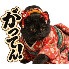 piro piro_20260312083725