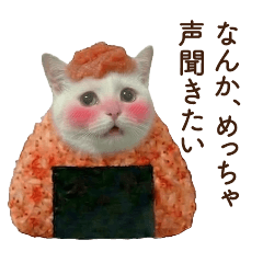 Cat Rice balls, pampering