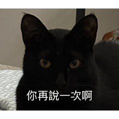 麥安餒啦⋯⋯（2️⃣）