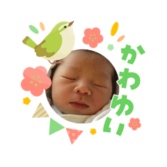 mayu_20260312113044