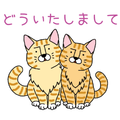 PAKAMOGOLY_20260312121813