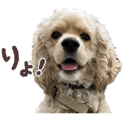 mayumm_20260312122540