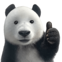 BooBoo Panda