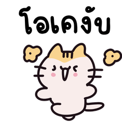 น้องแมวน่ารัก มาพร้อมคำพูดสุภาพ