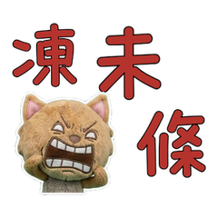 Moving Wiggle Lakeland Terr 59