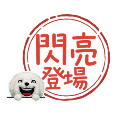 Moving Wiggle Bolognese 111