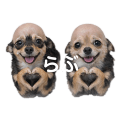 ayumi_2026031213270355