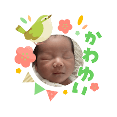 Miya_20260312132052