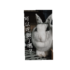移動胖卡車