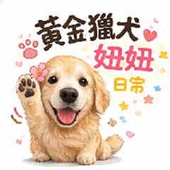 黃金獵犬妞妞