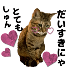 Betty_20260312142639