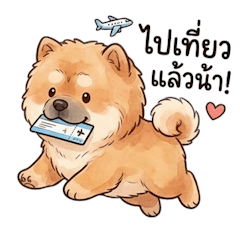 โปจิ, หมาเชาเชาหน้าแบ๊ว