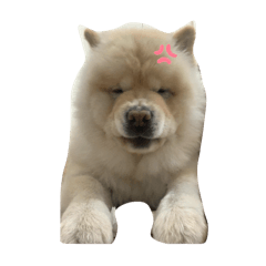 YOUYOUWOOYOU_20260309161607