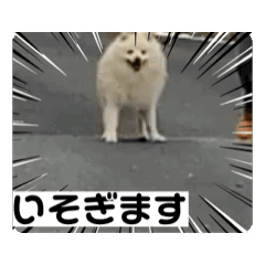 Charlie_20260312141104