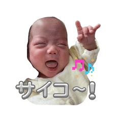 pompom_20260312181747