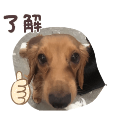 aachyann_20260312182350