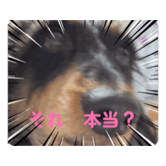 You_20260312195319