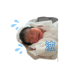 mainmai_20260312200530