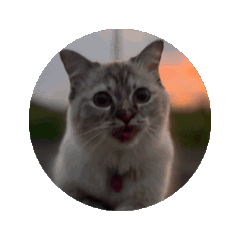 Worawut_20260312171610