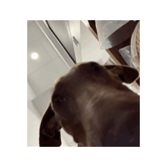 Olive @ Oliang DukDik