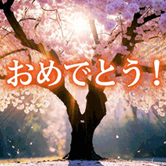 キラキラ光る桜のカード