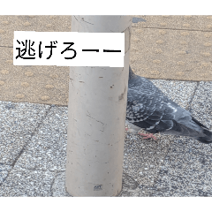 kaerukunn_20260309172046