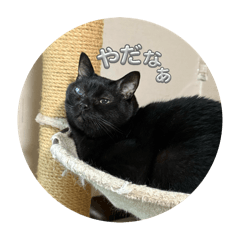 miumiu_20260312144528