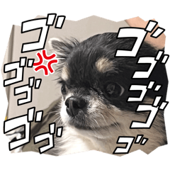 Kana_20260312214831
