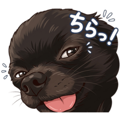 chimaki_20260312163820