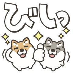 しば犬がいっぱい 毎日デカ文字スタンプ