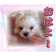 Choko_20260312225744