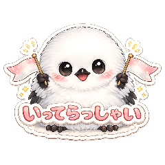 mikipokkle_20260312152030