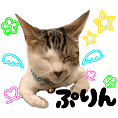 momo0319_20260312195208