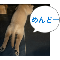 June Bug_20260312230147