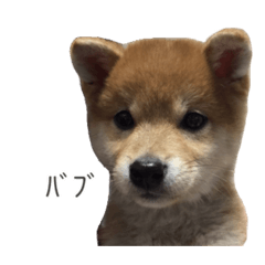 Kurage_20260312231306