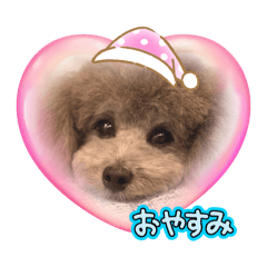 wan wan wan_20260312235613