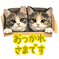 megmeen_20260312232625