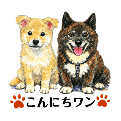 kukku_20260312231338