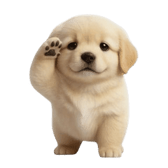 扭動小狗隊 5 (ANMZ)