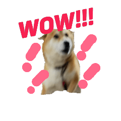 SHIBA.RYU&KOTETSU
